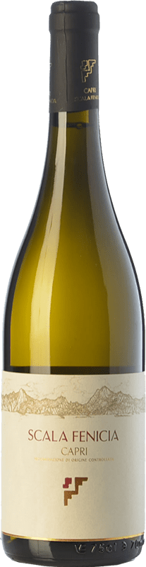 29,95 € Envio grátis | Vinho branco Scala Fenicia D.O.C. Capri Campania Itália Greco, Falanghina, Biancolella Garrafa 75 cl