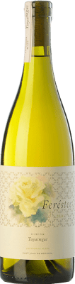 42,95 € Envoi gratuit | Vin Blanc Tayaimgut Feréstec Crianza D.O. Penedès Catalogne Espagne Sauvignon 75 cl