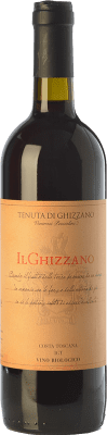 13,95 € Envío gratis | Vino tinto Tenuta di Ghizzano I.G.T. Toscana Toscana Italia Merlot, Sangiovese Botella 75 cl