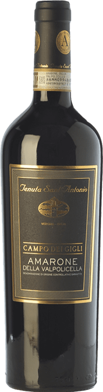 57,95 € Бесплатная доставка | Красное вино Tenuta Sant'Antonio Campo dei Gigli D.O.C.G. Amarone della Valpolicella Венето Италия Corvina — Корвина, Rondinella — Рондинелла, Oseleta — Оселета, Croatina — Кроатина Бутылка 75 cl