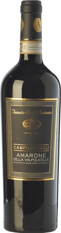 73,95 € Spedizione Gratuita | Vino rosso Tenuta Sant'Antonio Campo dei Gigli D.O.C.G. Amarone della Valpolicella Veneto Italia Corvina, Rondinella, Oseleta, Croatina Bottiglia 75 cl