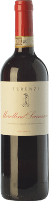 13,95 € Envoi gratuit | Vin rouge Terenzi D.O.C.G. Morellino di Scansano Toscane Italie Sangiovese Bouteille 75 cl