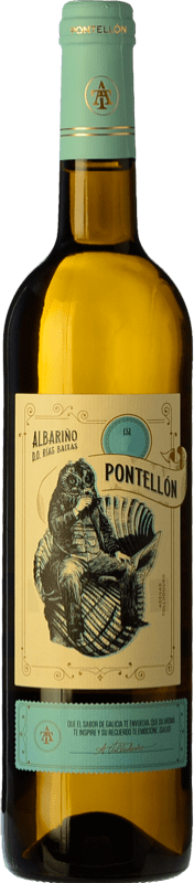 14,95 € Envío gratis | Vino blanco Tollodouro Pontellón D.O. Rías Baixas Galicia España Albariño Botella 75 cl
