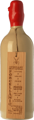 88,95 € Envio grátis | Espumante branco Ton Rimbau Porcellànic Vi Espurnejant Natural Brut D.O. Penedès Catalunha Espanha Macabeo, Xarel·lo Garrafa 75 cl