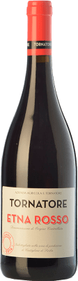 19,95 € Envio grátis | Vinho tinto Tornatore Rosso D.O.C. Etna Sicília Itália Nerello Mascalese, Nerello Cappuccio Garrafa 75 cl