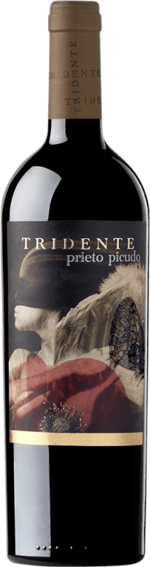 29,95 € Envío gratis | Vino tinto Tritón Tridente Crianza I.G.P. Vino de la Tierra de Castilla y León Castilla y León España Prieto Picudo Botella 75 cl