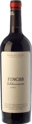 14,95 € Free Shipping | Red wine Valdemar Fincas Valdemacuco Young D.O. Ribera del Duero Castilla y León Spain Tempranillo Bottle 75 cl