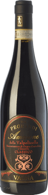 47,95 € 免费送货 | 红酒 Vaona Pegrandi D.O.C.G. Amarone della Valpolicella 威尼托 意大利 Corvina, Rondinella, Molinara 瓶子 75 cl