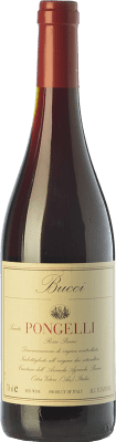 16,95 € Kostenloser Versand | Rotwein Villa Bucci Pongelli D.O.C. Rosso Piceno Marken Italien Sangiovese, Montepulciano Flasche 75 cl