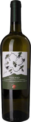 15,95 € Envio grátis | Vinho branco Villa Dora Bianco D.O.C. Vesuvio Campania Itália Falanghina, Coda di Volpe Garrafa 75 cl