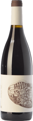 9,95 € Free Shipping | Red wine Vins de Pedra Negre de Folls Joven D.O. Conca de Barberà Catalonia Spain Tempranillo, Grenache, Trepat Bottle 75 cl