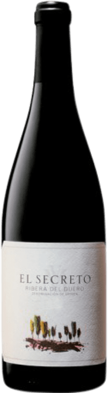 15,95 € Free Shipping | Red wine Palacio El Secreto D.O. Ribera del Duero Castilla y León Spain Tempranillo Bottle 75 cl