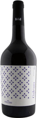4,95 € Бесплатная доставка | Красное вино Murviedro Galeam старения D.O. Alicante Сообщество Валенсии Испания Monastrell бутылка 75 cl