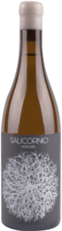 10,95 € Kostenloser Versand | Weißwein Casa Balager Salicornio Blanco D.O. Alicante Valencianische Gemeinschaft Spanien Muskat Flasche 75 cl