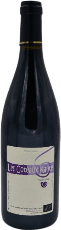 23,95 € Бесплатная доставка | Красное вино Mirebeau Bruno Rochard Les Coteaux Kanté Луара Франция Grolleau бутылка 75 cl