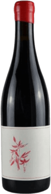 62,95 € Envio grátis | Vinho tinto Arnot-Roberts I.G. Sonoma Coast California Estados Unidos Pinot Preto Garrafa 75 cl