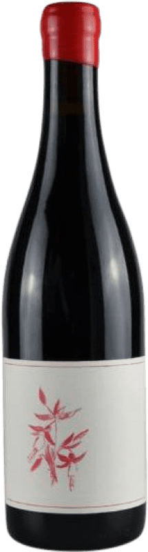 64,95 € 送料無料 | 赤ワイン Arnot-Roberts I.G. Sonoma Coast カリフォルニア州 アメリカ Pinot Noir — ピノ・ノワール Eco — エコ ビオ オーガニック 75 cl