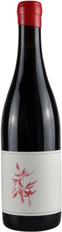 64,95 € Kostenloser Versand | Rotwein Arnot-Roberts I.G. Sonoma Coast Kalifornien Vereinigte Staaten Spätburgunder Flasche 75 cl