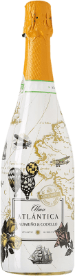 10,95 € Spedizione Gratuita | Spumante Bianco Martín Códax Alma Atlántica Albariño Galizia Spagna Godello, Albariño 75 cl