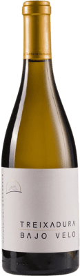 33,95 € Envío gratis | Vino blanco Quinta da Muradella Bajo Velo D.O. Monterrei Galicia España Treixadura Botella 75 cl