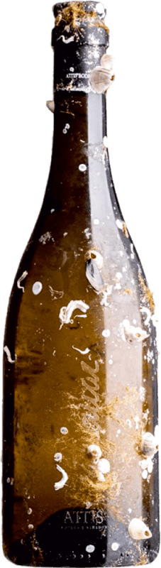 94,95 € Envio grátis | Vinho Branco Attis Mar D.O. Rías Baixas Galiza Espanha Albariño — Albarinho 75 cl