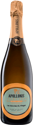 76,95 € Envio grátis | Espumante branco Michel Loriot Apollonis Les Sources du Flagot Blanc de Blancs Extra Brut A.O.C. Champagne Champagne França Chardonnay Garrafa 75 cl