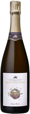 64,95 € 免费送货 | 白起泡酒 Régis Poissinet Terre d'Irizée 额外的香味 A.O.C. Champagne 香槟酒 法国 Chardonnay, Pinot Meunier 瓶子 75 cl