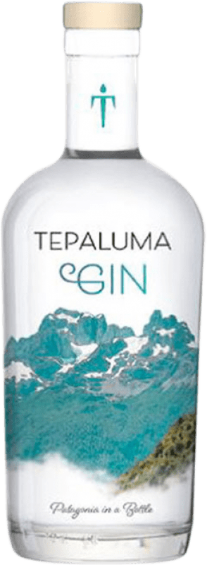 61,95 € Envio grátis | Gin Tepaluma Chile Garrafa Medium 50 cl