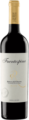 22,95 € Kostenloser Versand | Rotwein Avelino Vegas Fuentespina Reserve — Gereift D.O. Ribera del Duero Kastilien und León Spanien Tempranillo Flasche 75 cl