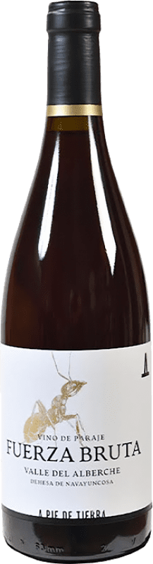 15,95 € 免费送货 | 红酒 A Pie de Tierra Fuerza Bruta D.O. Vinos de Madrid 马德里社区 西班牙 Grenache 瓶子 75 cl