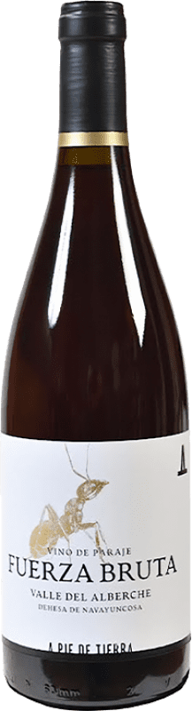 22,95 € Kostenloser Versand | Rotwein A Pie de Tierra Fuerza Bruta D.O. Vinos de Madrid Gemeinschaft von Madrid Spanien Grenache Flasche 75 cl