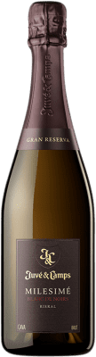 Juvé y Camps Blanc de Noirs Pinot Nero Gran Riserva 75 cl