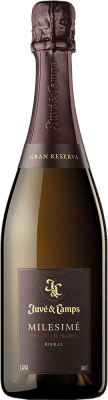 Juvé y Camps Pinot Noir — Spätburgunder Blanc de Noirs Große Reserve — Lange Reifung Eco — Biologisch 75 cl