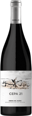49,95 € 免费送货 | 红酒 Cepa 21 D.O. Ribera del Duero 卡斯蒂利亚莱昂 西班牙 Tempranillo 瓶子 Magnum 1,5 L
