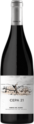 49,95 € Envío gratis | Vino tinto Cepa 21 D.O. Ribera del Duero Castilla y León España Tempranillo Botella Magnum 1,5 L