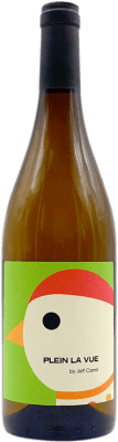 13,95 € Free Shipping | White wine Jeff Carrel Plein la Vue France Sauvignon White Bottle 75 cl