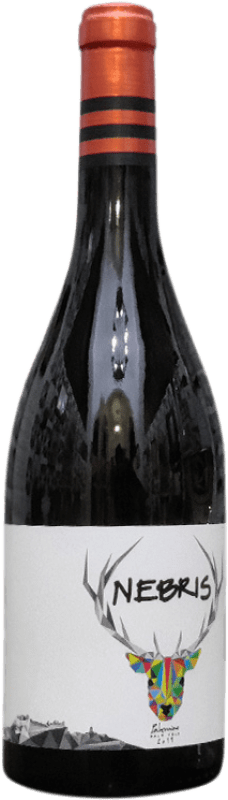 25,95 € Kostenloser Versand | Verstärkter Wein González Palacios Nebris Bajo Velo Lebrija Andalusien Spanien Palomino Fino Flasche 75 cl