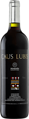 Can Ràfols Caus Lubis Merlot Alterung 75 cl