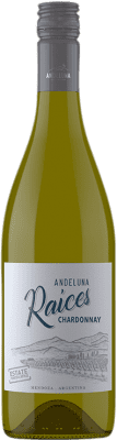 13,95 € Free Shipping | White wine Andeluna Raíces I.G. Mendoza Mendoza Argentina Chardonnay Bottle 75 cl