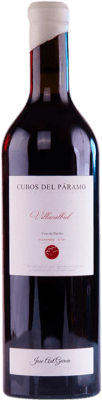 36,95 € Envoi gratuit | Vin rouge JAG Viticultor Cubos del Páramo Villacalbiel D.O. Tierra de León Castille et Leon Espagne Prieto Picudo Bouteille 75 cl