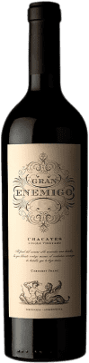 115,95 € Envío gratis | Vino tinto Aleanna Gran Enemigo Chacayes Argentina Cabernet Franc, Malbec Botella 75 cl
