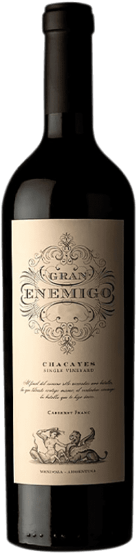 125,95 € Бесплатная доставка | Красное вино Aleanna Gran Enemigo Chacayes Аргентина Cabernet Franc — Каберне Фран, Malbec — Мальбек Бутылка 75 cl