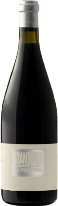 53,95 € Free Shipping | Red wine Portal del Montsant Santbru D.O. Montsant Catalonia Spain Syrah, Grenache, Mazuelo, Carignan Bottle 75 cl