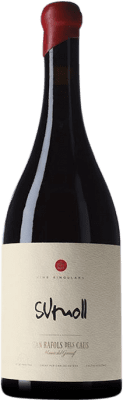28,95 € 免费送货 | 红葡萄酒 Can Ràfols Crianza — 陈酿 D.O. Penedès 加泰罗尼亚 西班牙 Sumoll — 苏莫尔 75 cl