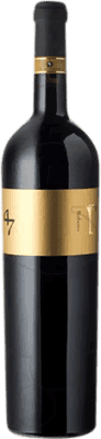 12,95 € Free Shipping | Red Wine Anno Domini Raboso Crianza — Aged D.O.C. Piave Italy 75 cl