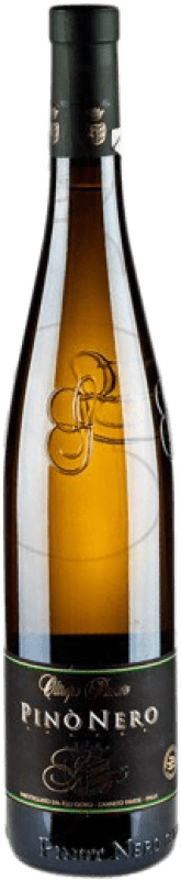 9,95 € Envoi gratuit | Vin blanc Giorgi. Blanc Jeune D.O.C. Italie Italie Pinot Noir Bouteille 75 cl
