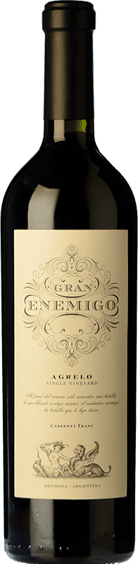 113,95 € Envío gratis | Vino Tinto Aleanna Gran Enemigo Agrelo Single Vineyard Single Vineyard Parcela Única Argentina Cabernet Franc, Malbec Botella 75 cl
