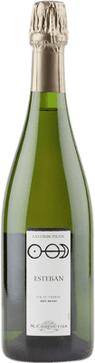 29,95 € Envoi gratuit | Blanc mousseux Michel Chapoutier La Combe Pilate Esteban Brut Nature France Viognier Bouteille 75 cl