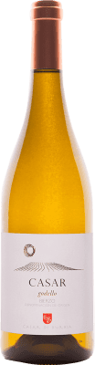 21,95 € Free Shipping | White wine Casar de Burbia D.O. Bierzo Spain Godello Bottle 75 cl