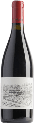 21,95 € Free Shipping | Red wine Viñedos do Gabian Xanledo D.O. Ribeiro Galicia Spain Caíño Black, Espadeiro, Brancellao Bottle 75 cl